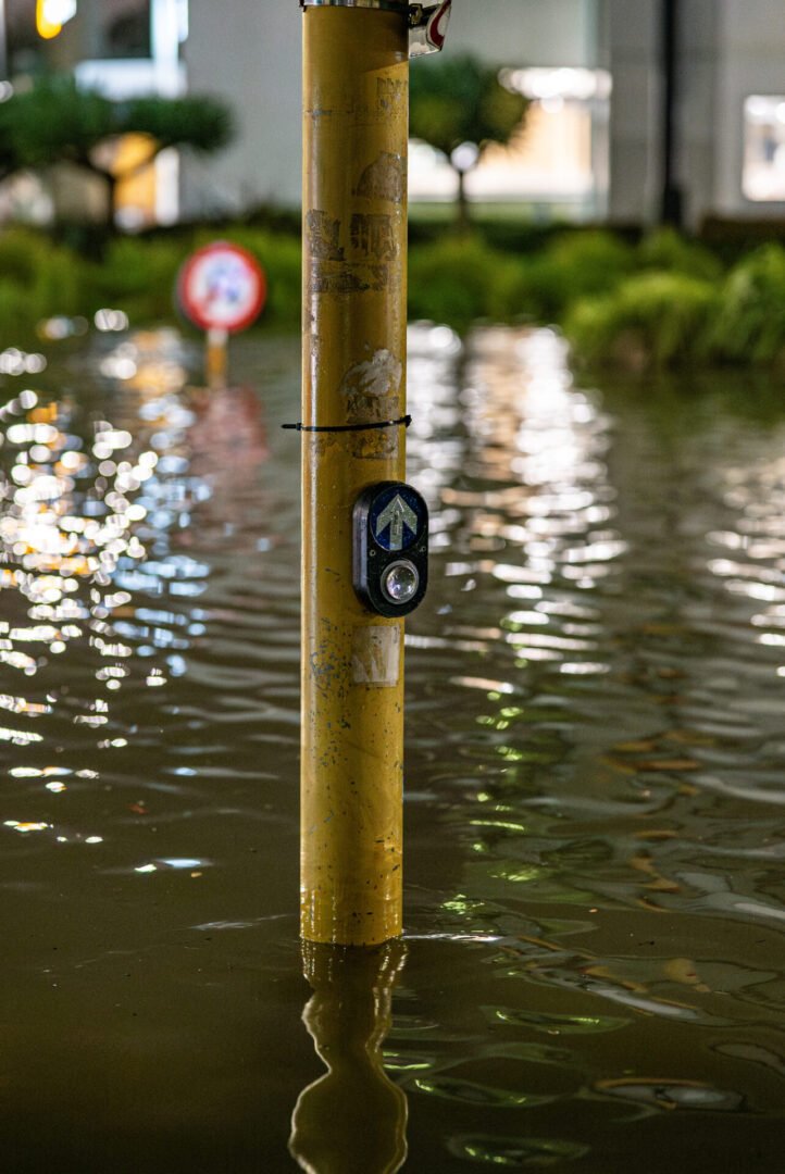 Environmental flood sensors integrated with a commercial security system.